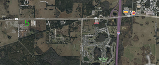 More details for SR 52 near Bellamy Bros and Hwy 75, San Antonio, FL - Land for Sale