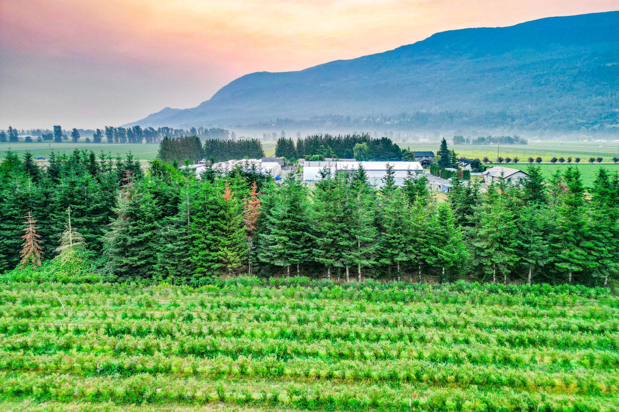 3387 Tolmie Rd, Abbotsford, BC for sale Primary Photo- Image 1 of 49