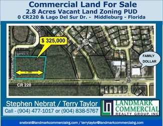 More details for County Road 220, Middleburg, FL - Land for Sale