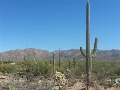 SW Sombrosa Drive & S Mule Deer Rd, Marana, AZ for sale Primary Photo- Image 1 of 1