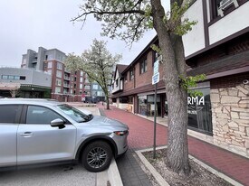 16 W Busse Ave, Mount Prospect IL - Loft