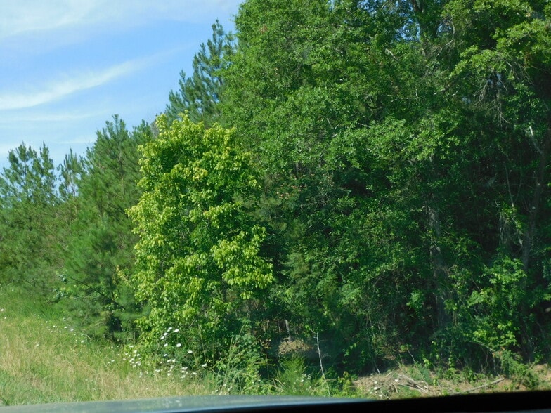 00 US- 31, Calera, AL for sale - Other - Image 2 of 2