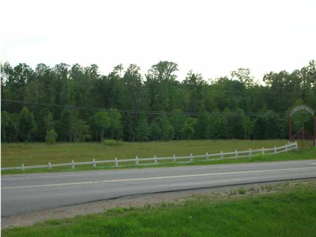 16325 Highway 11, Vance, AL for sale Primary Photo- Image 1 of 1