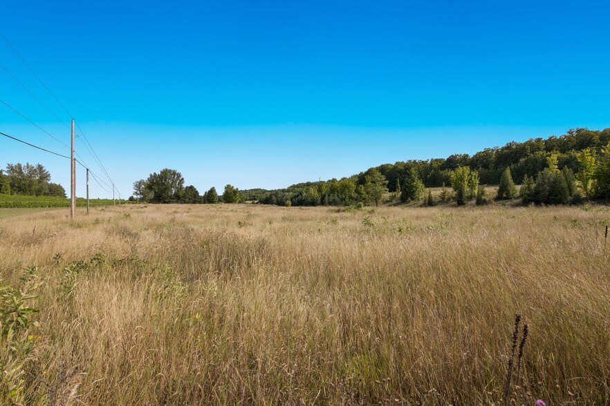 Not assigned East Duck Lake Rd Rd, Suttons Bay, MI for sale - Other - Image 2 of 6