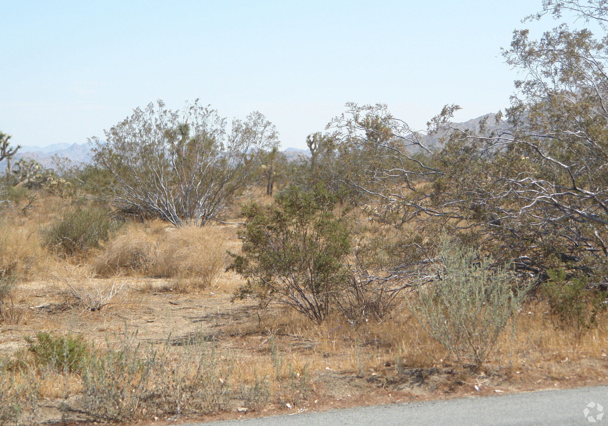 Avalon Ave, Yucca Valley, CA for sale Primary Photo- Image 1 of 1