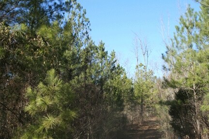 Interstate 65 and Hwy 67 100, Calera, AL for sale Building Photo- Image 1 of 1