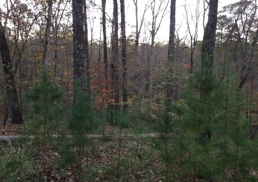 Martin Spur Rd, Northport, AL 35473