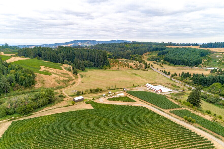 11711 Highway 240, Yamhill, OR for sale - Primary Photo - Image 1 of 1