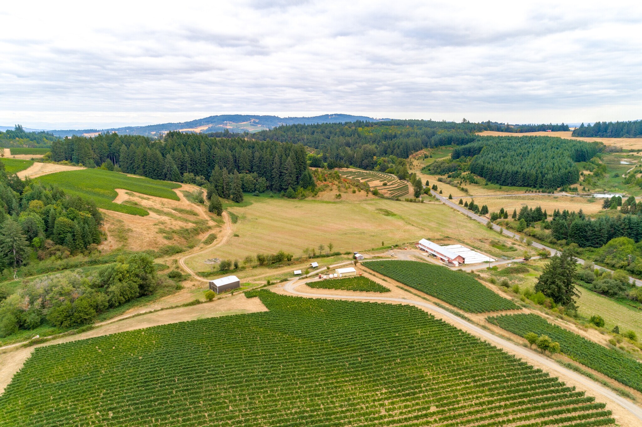 11711 Highway 240, Yamhill, OR for sale Primary Photo- Image 1 of 1