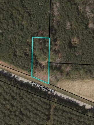 More details for 0 Highway 278 Hwy, Cedartown, GA - Land for Sale