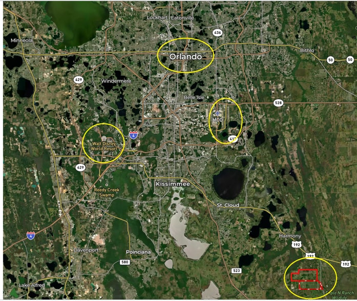 6220 Holopaw, Saint Cloud, FL for sale - Building Photo - Image 2 of 5