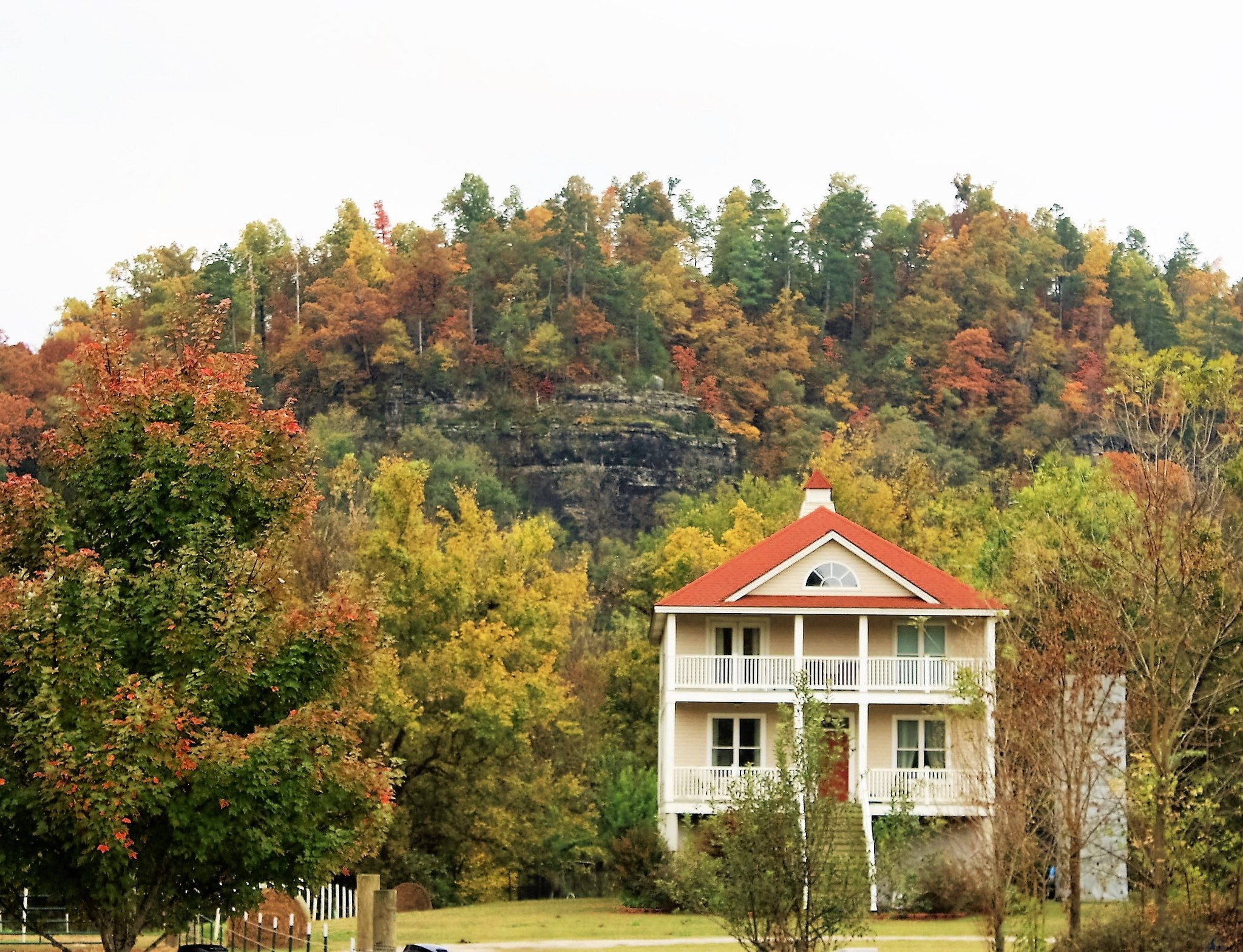 Specialty in Norfork, AR for sale Primary Photo- Image 1 of 1