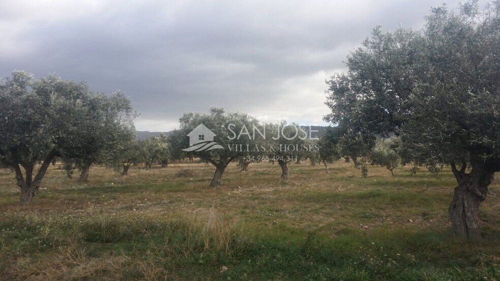 Land in Biar for sale - Building Photo - Image 3 of 9