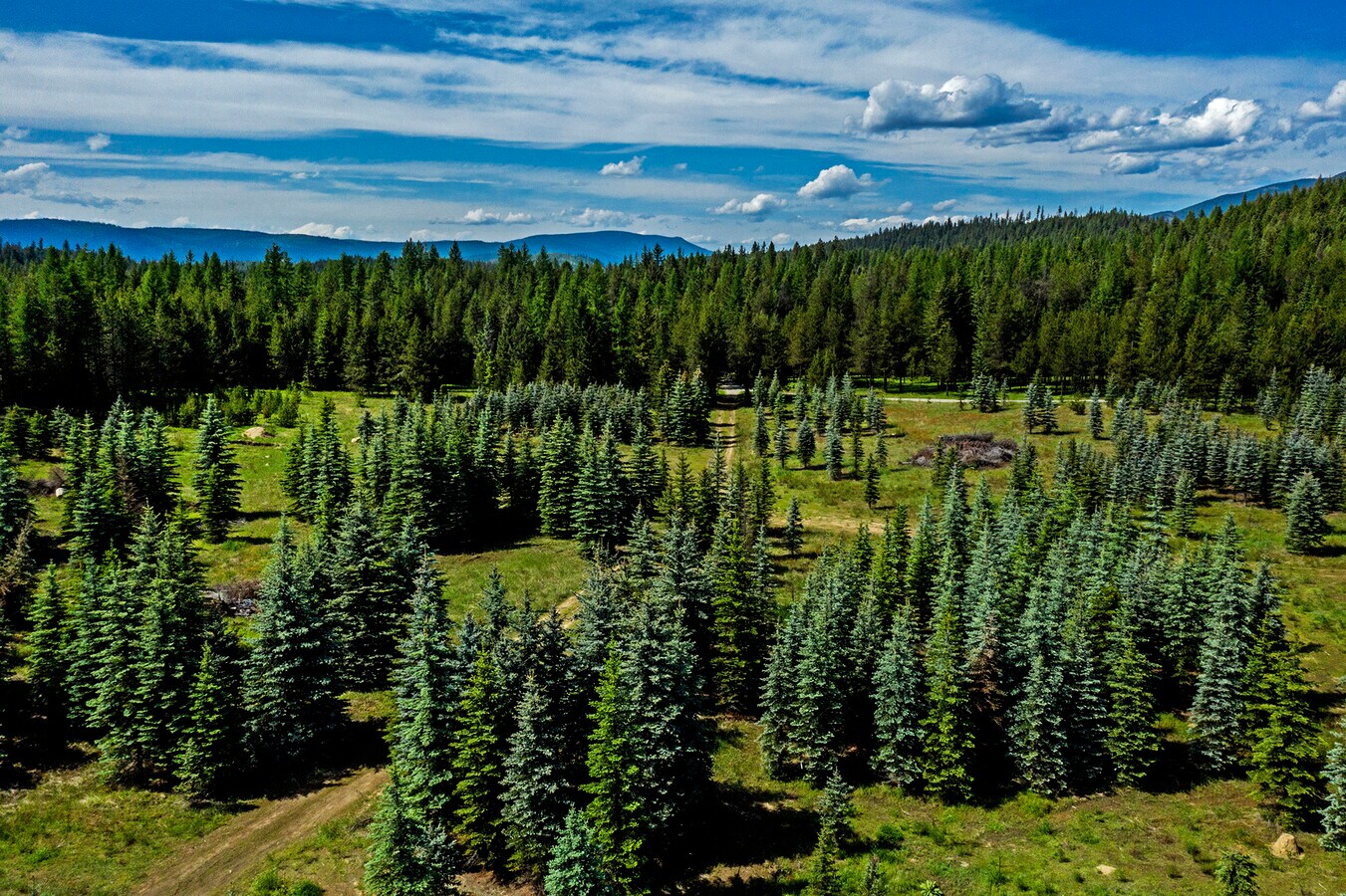 NNA Firehouse rd, Moyie Springs, ID 83845 NNA Firehouse Rd