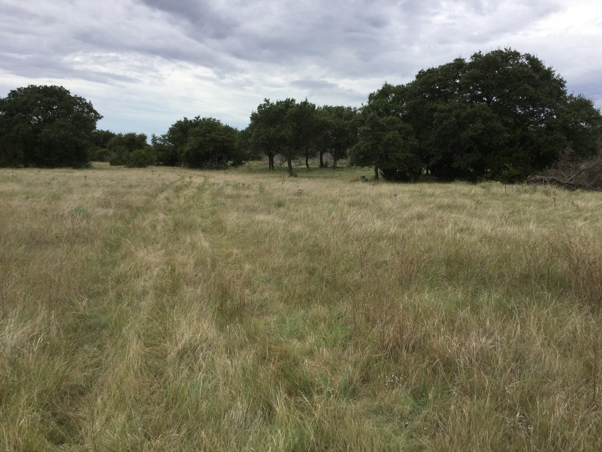 1728 N US Hwy 277, Eldorado, TX for sale Building Photo- Image 1 of 1