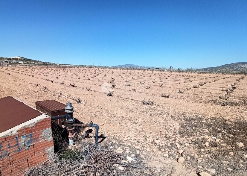 Land in PINOSO for sale - Building Photo - Image 1 of 3