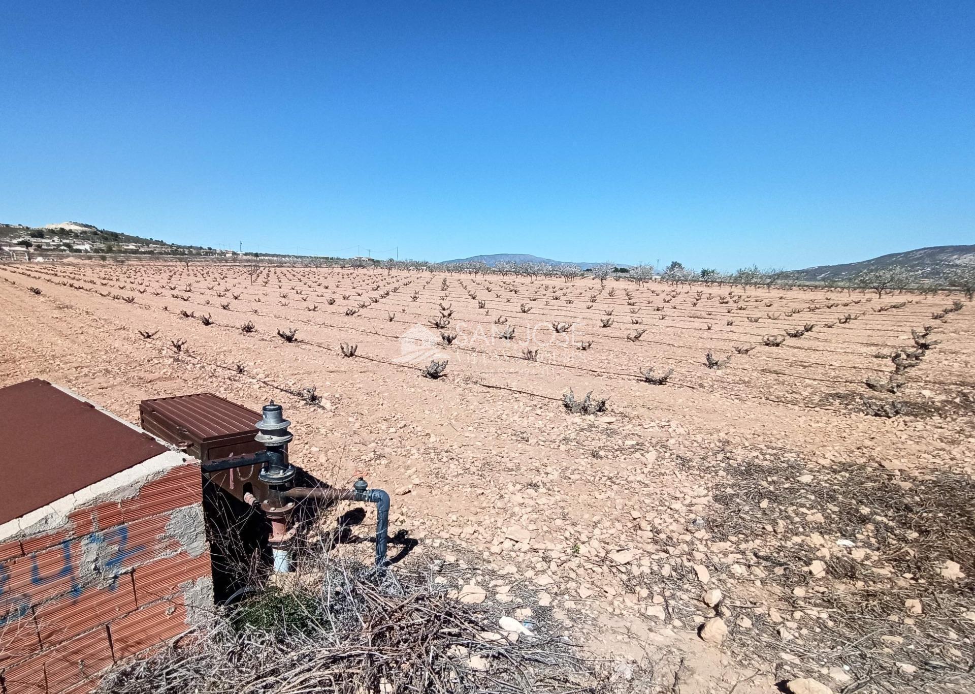 Land in PINOSO for sale Building Photo- Image 1 of 4