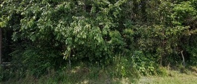 3920 Mckee Rd, Charlotte, NC for sale Primary Photo- Image 1 of 2