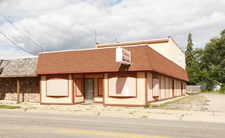 More details for 3509-3511 Fenton Rd, Flint, MI - Retail for Sale