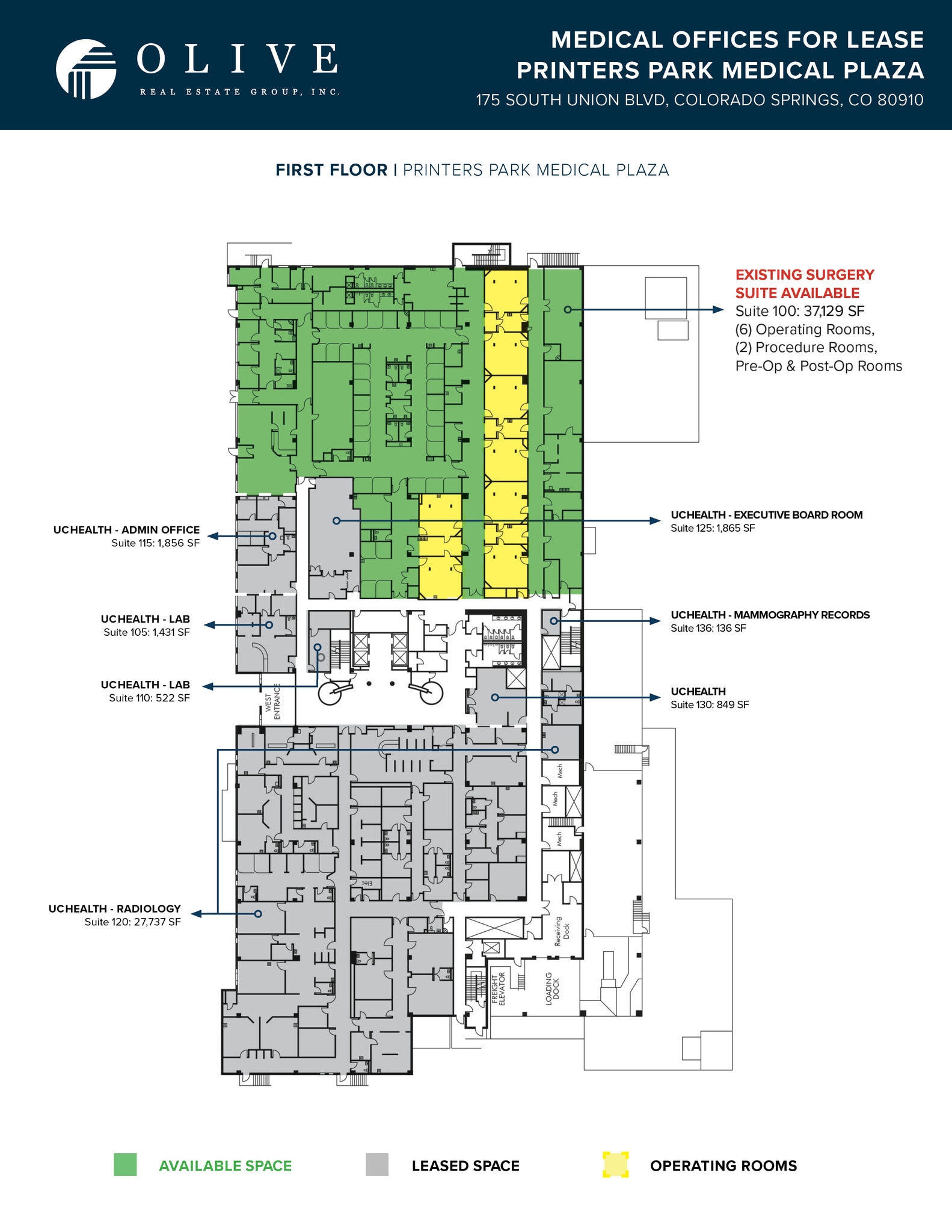 175 S Union Blvd, Colorado Springs, CO for lease Floor Plan- Image 1 of 1