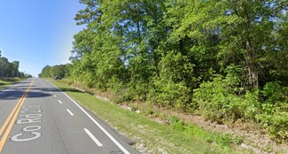 More details for County Road 218, Middleburg, FL - Land for Sale