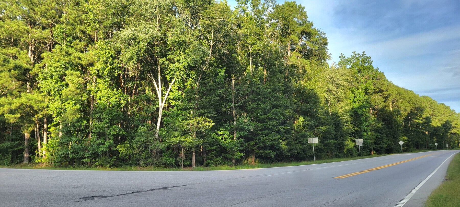 0 Hwy 119 S, Ellabell, GA 31308 5 ACRES Highway Commercial Land