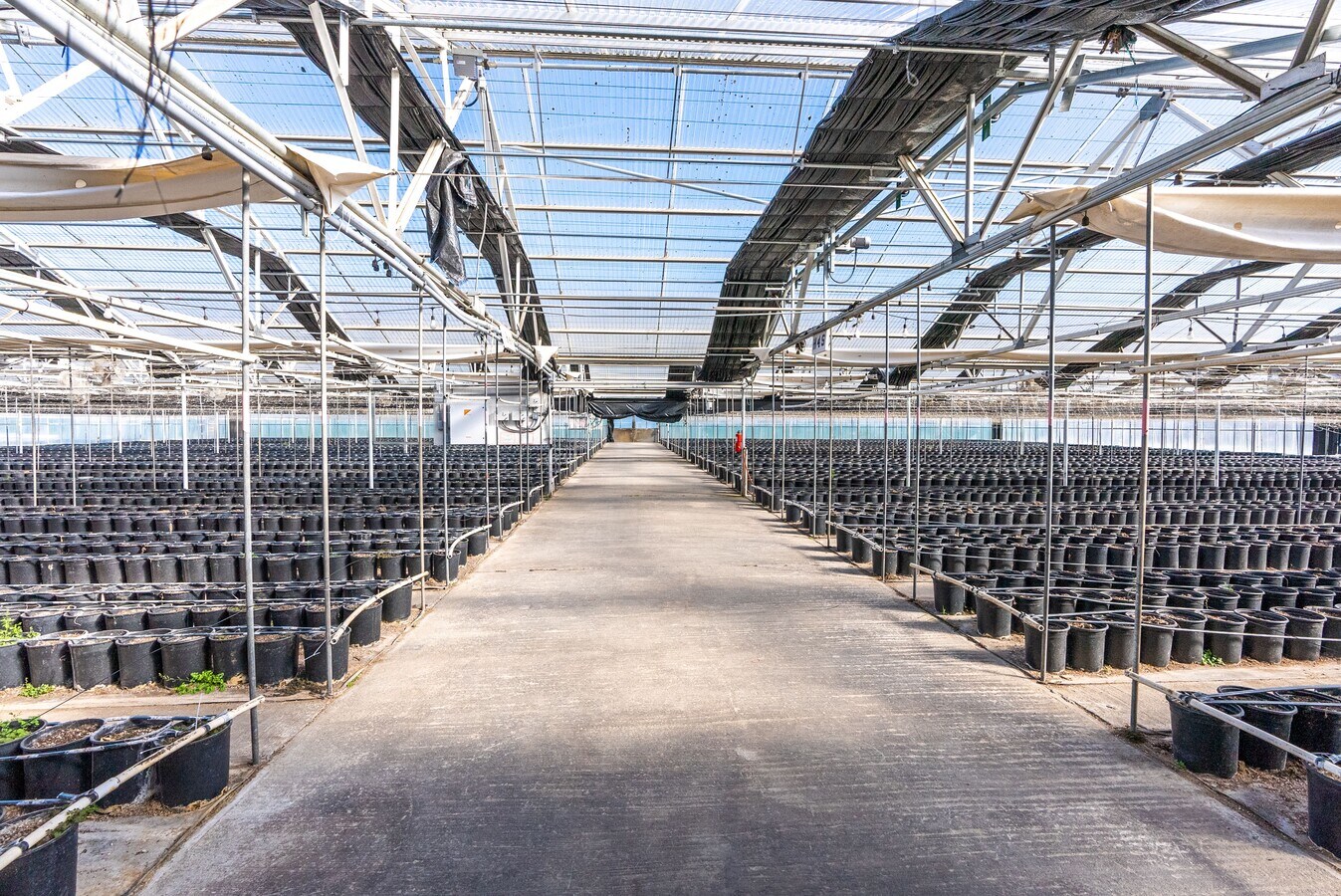 650 Buena Vista Dr, Watsonville, CA 95076 Hollow Wave/Coastal Nursery