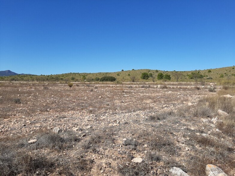 Land in PINOSO for sale - Building Photo - Image 3 of 4