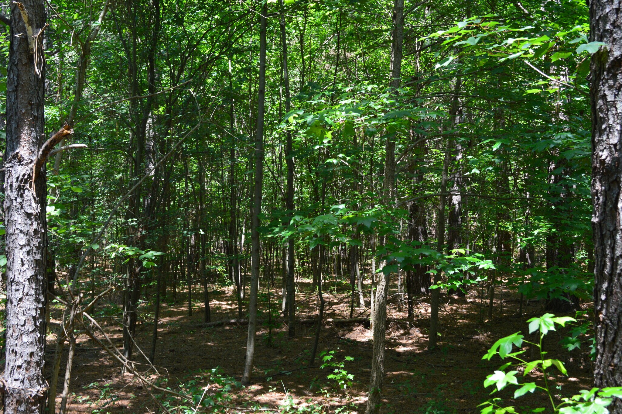 Sugar Ridge Rd, Boiling Springs, SC for sale Other- Image 1 of 1