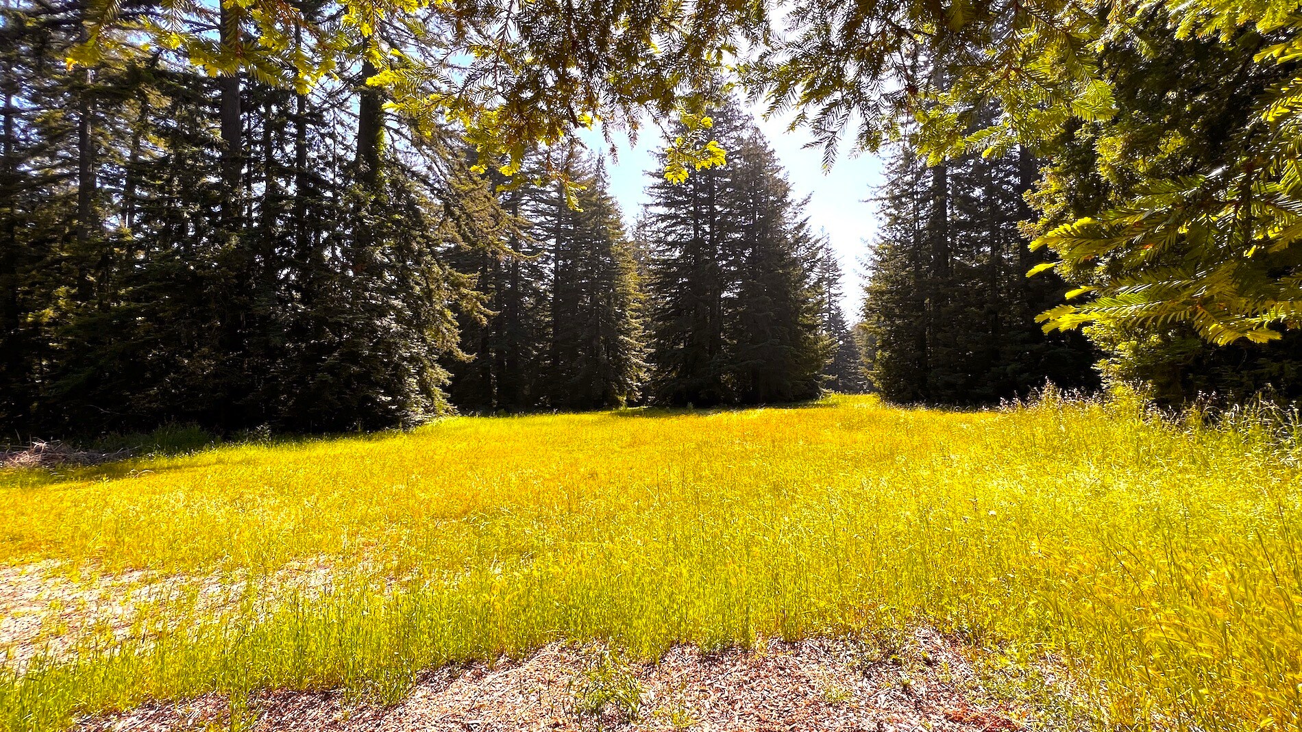 3675 Bonny Doon Rd, Santa Cruz, CA 95060 Bonny Doon Equestrian Park