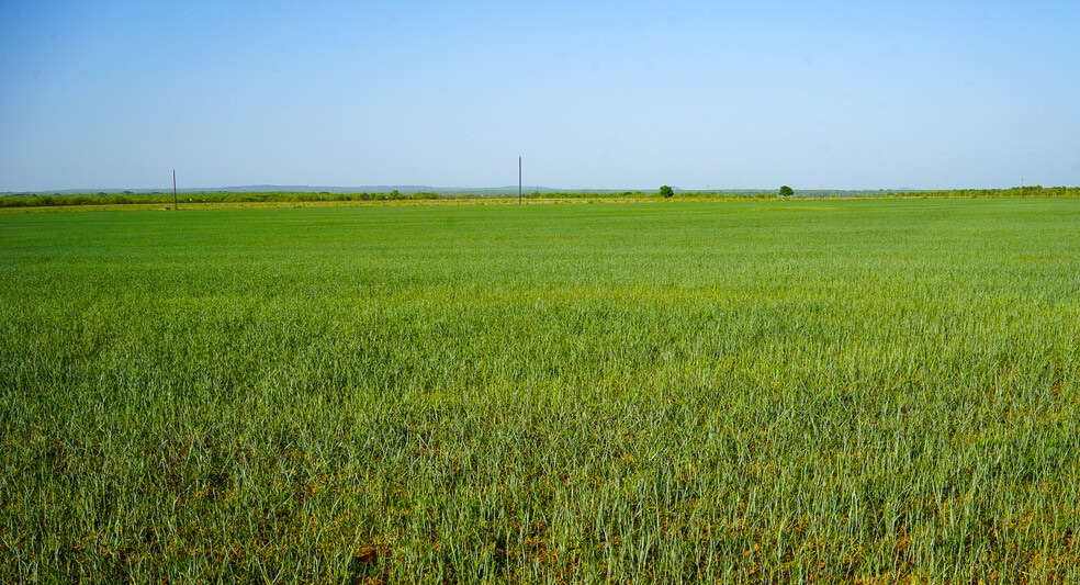 723 FM 2926, Baird, TX for sale - Building Photo - Image 3 of 44