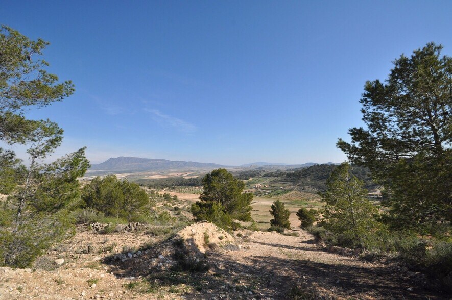 Land in Jumilla for sale - Building Photo - Image 1 of 9