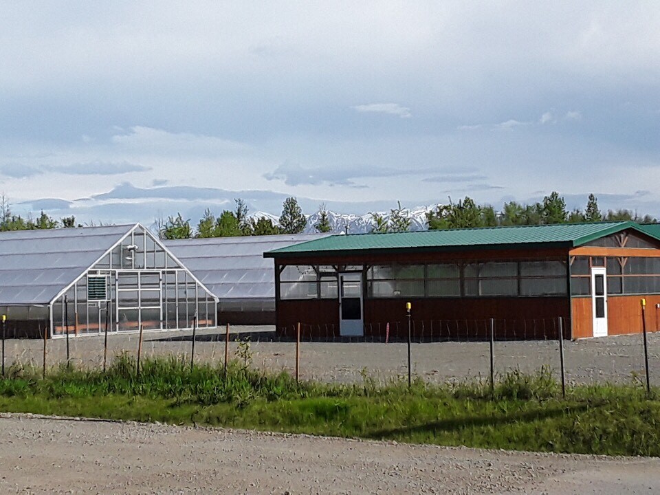 4985 W Fairview Loop, Wasilla, AK 99654