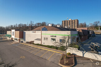 More details for 230 Rodi & Frankstown Rd, Pittsburgh, PA - Multiple Space Uses for Lease