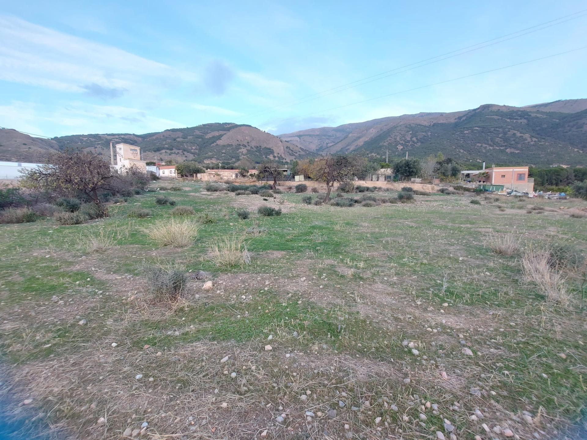 Land in Berja for sale Building Photo- Image 1 of 13