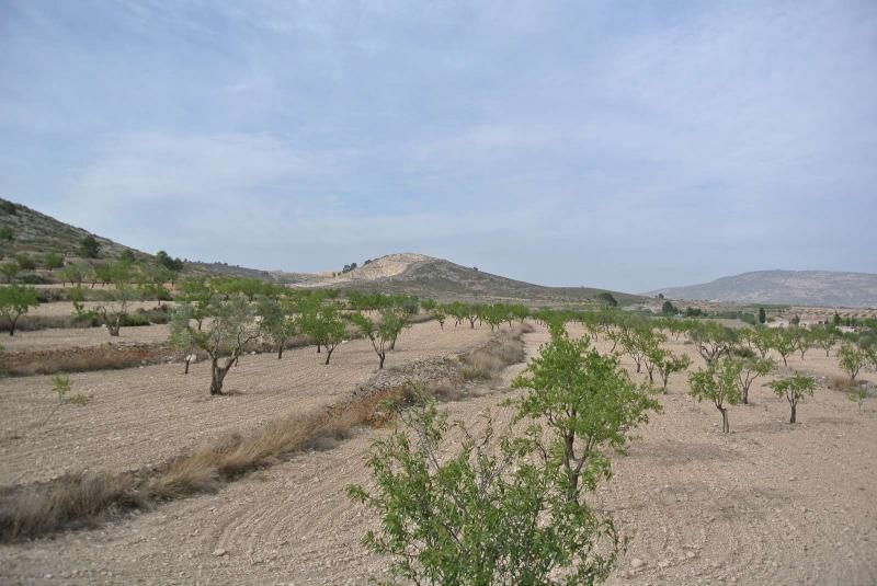 Land in Jumilla for sale - Building Photo - Image 2 of 15