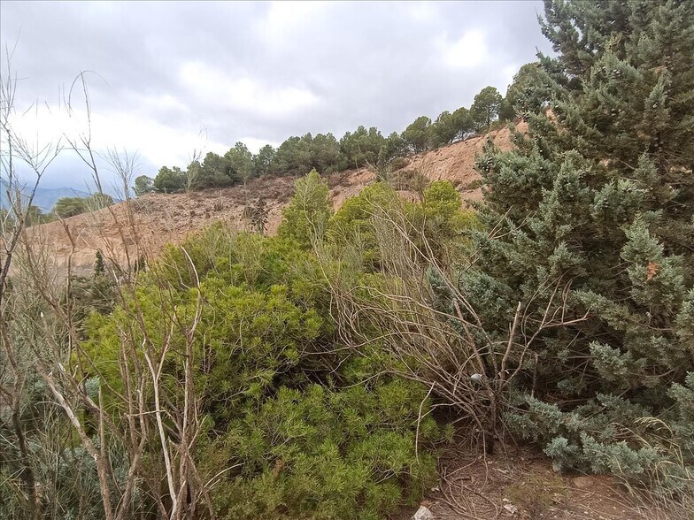 Parcela, 3, Carataunas, Granada for sale - Building Photo - Image 3 of 10