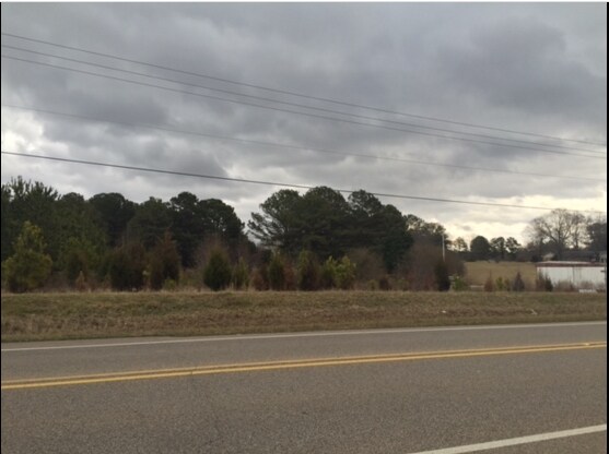 Hwy 53, Toney, AL for sale Primary Photo- Image 1 of 1