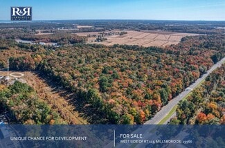 More details for 30836 Dupont Hwy, Dagsboro, DE - Land for Sale