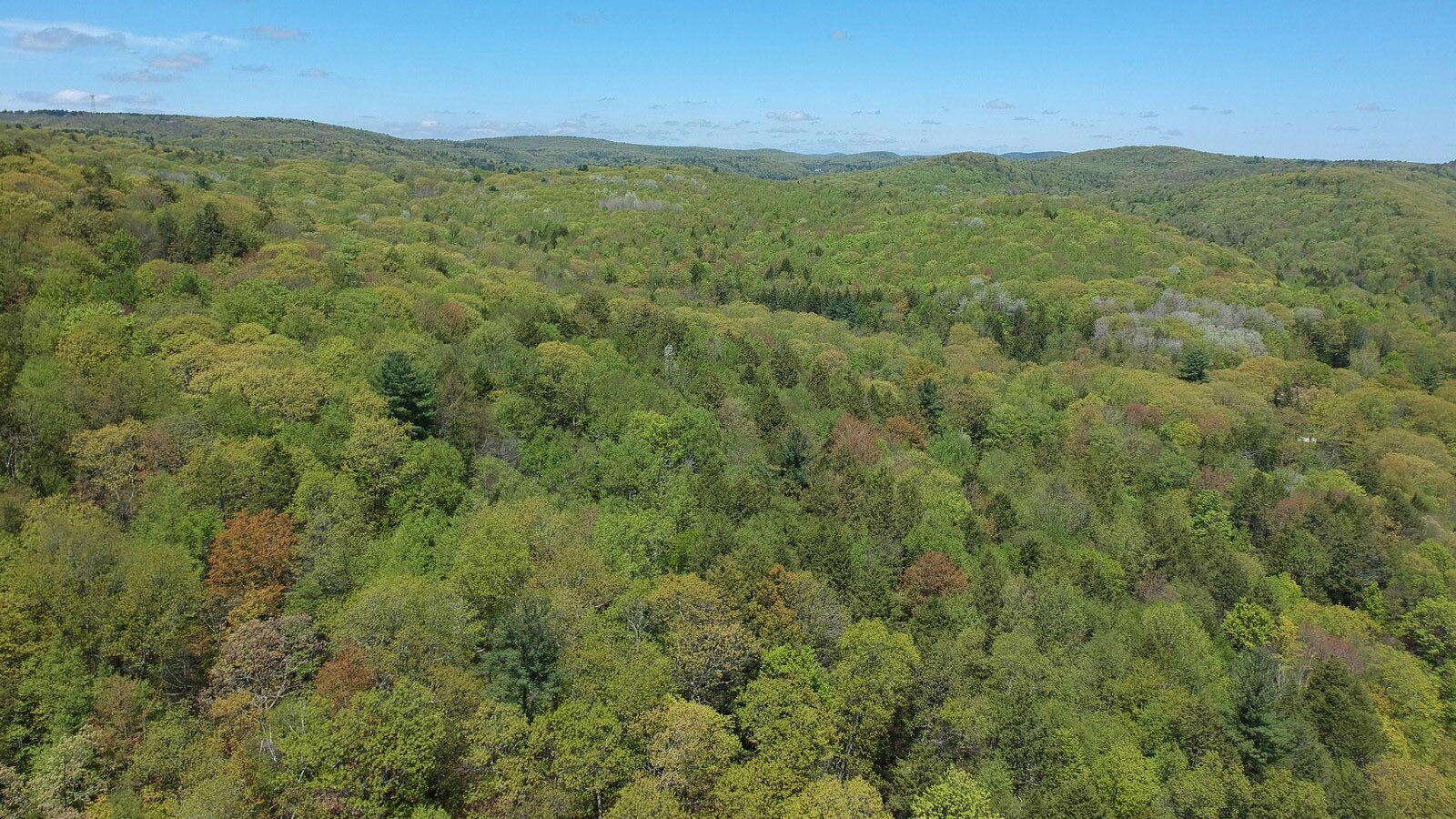 214 Torrington Rd, Winsted, CT for sale Aerial- Image 1 of 1