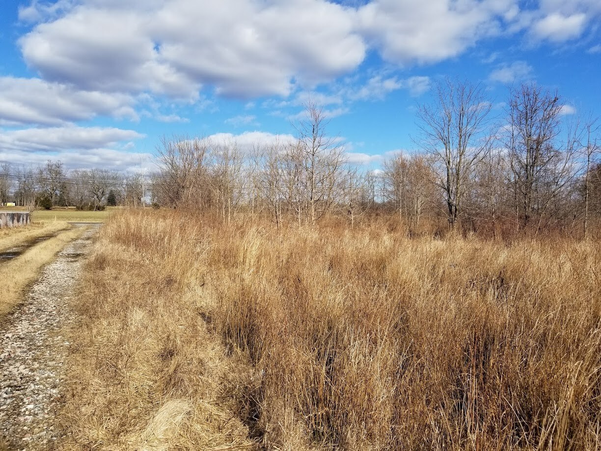 199 Public Rd, Columbus, NJ for sale Other- Image 1 of 1