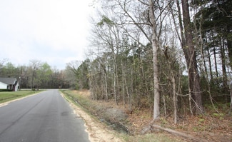 More details for 00 Columbia Hwy, Estill, SC - Land for Sale