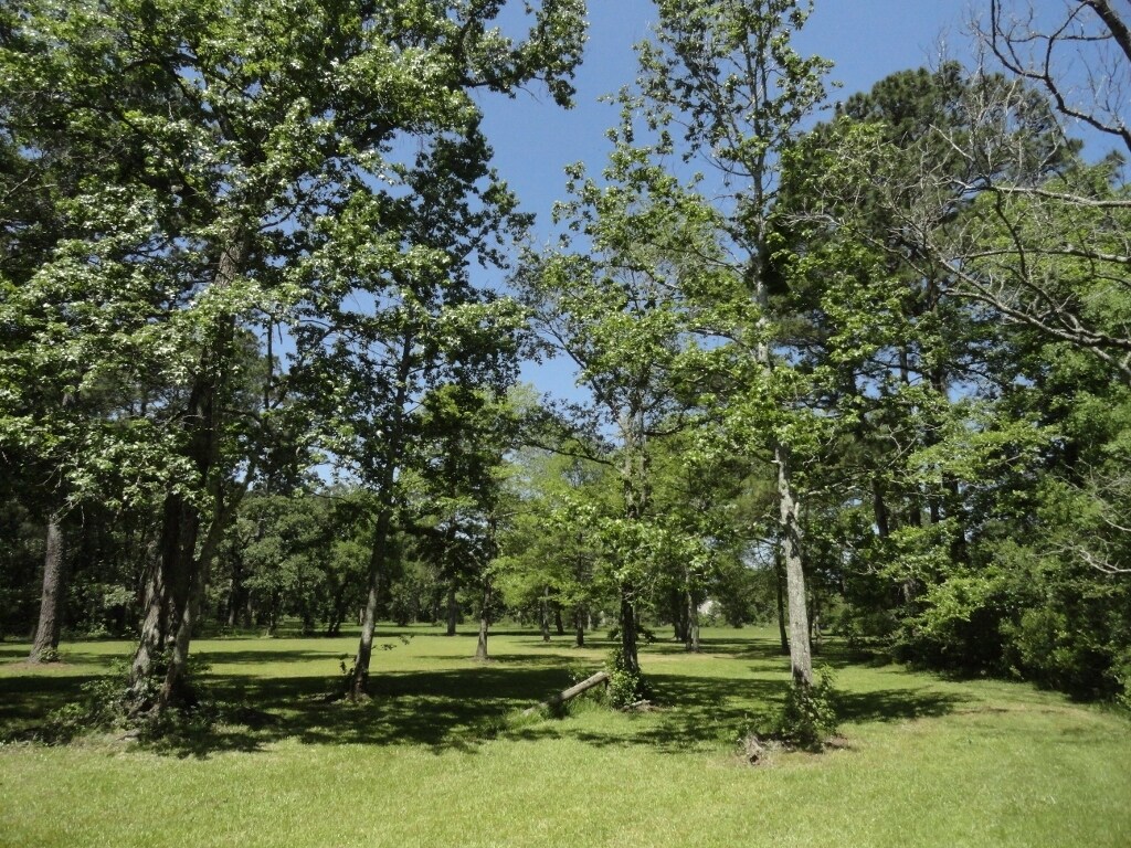 16803 Butera Rd, Magnolia, TX for sale Building Photo- Image 1 of 1