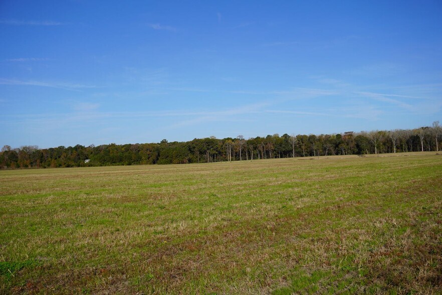 2066 Rackity Hall Rd, Wadmalaw Island, SC 29487 Land for Sale