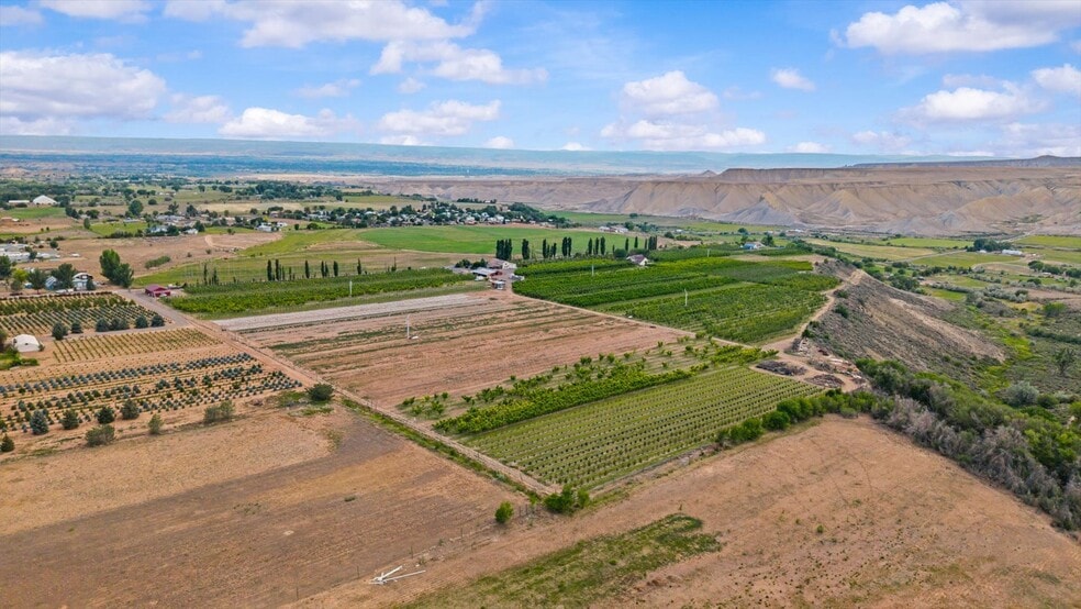 20809 Nowhere Rd, Eckert, CO for sale - Building Photo - Image 3 of 39