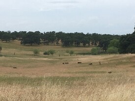 Valencia Estates/Ranch/Utility Grade Solar - Motel