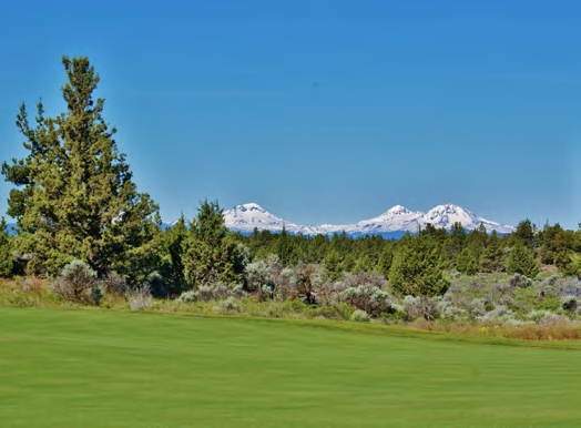 1814 SW Remington Ranch Rd, Powell Butte, OR for sale - Primary Photo - Image 1 of 4