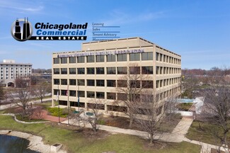 More details for 1931 N Meacham Rd, Schaumburg, IL - Office for Lease