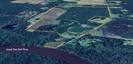 1298 Ports Hill Dr, Hemingway, SC - AERIAL map view - Image1