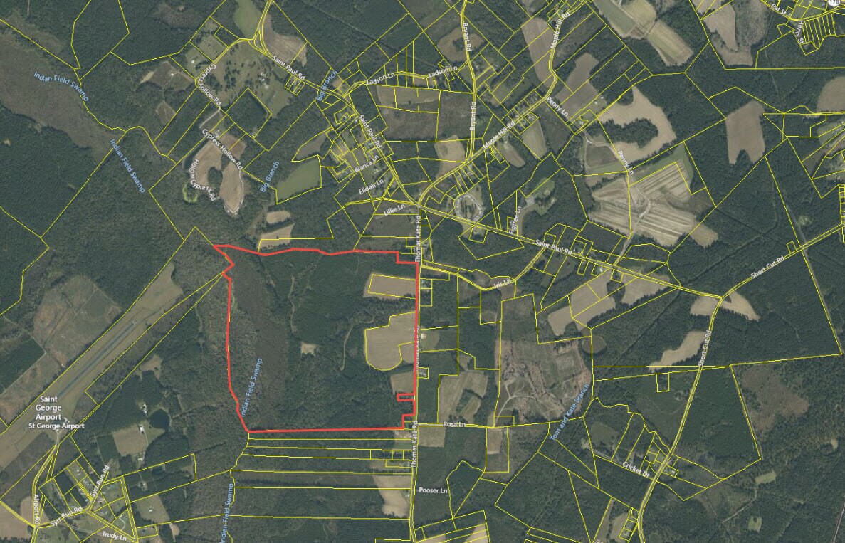 Thomas Kate Rd, Harleyville, SC for sale Primary Photo- Image 1 of 1